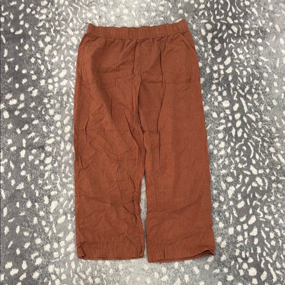 Toad and CoRust Orange Casual Pants